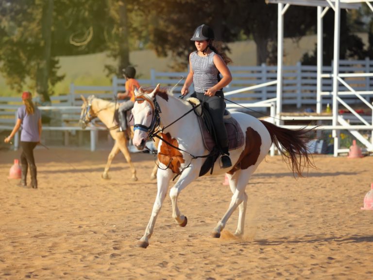 horseback riding